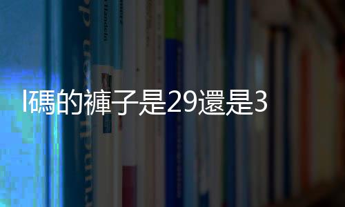 l碼的褲子是29還是30